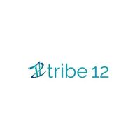 Tribe12org